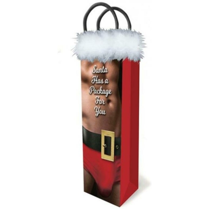 Santa Has A Package Gift Bag