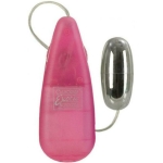 Bulk Bullet with Controller