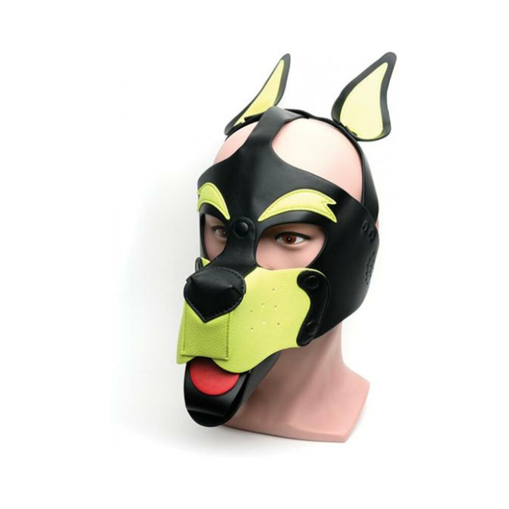 810001688479_1 665 Playful Pup Hood - O/s Black/yellow - Image 1