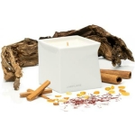 Jimmyjane Natural Massage Oil Candle 4.5 Oz Red Tobacco - Image 3