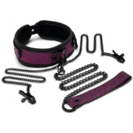 Whipsmart Dragon's Lair Collar, Leash & Nipple Clips Set