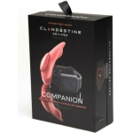 The Companion Remote Control Panty Vibe - Image 2