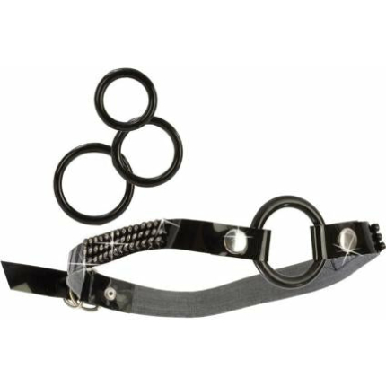 Open Ring Gag with Interchangeable Rings