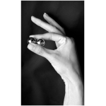 Fetish Fantasy Ltd. Ed. Ben-wa Balls