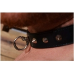 Rouge O-ring Studded Collar (thinner) Black - Image 3