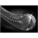 Icicles No. 88 - Glass Suction Cup G-spot Wand - Clear - Image 2