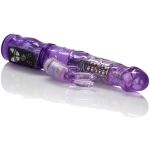 Petite Jack Rabbit - Image 3