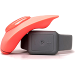 The Companion Remote Control Panty Vibe