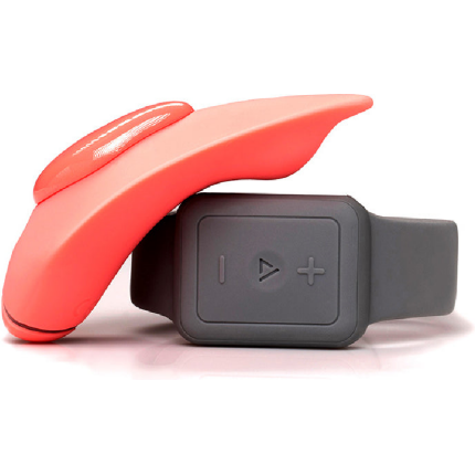 The Companion Remote Control Panty Vibe